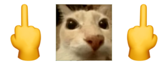 fu image